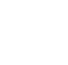 IIT-logo