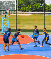 Volleyball Court