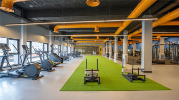 Health & Fitness Hub
