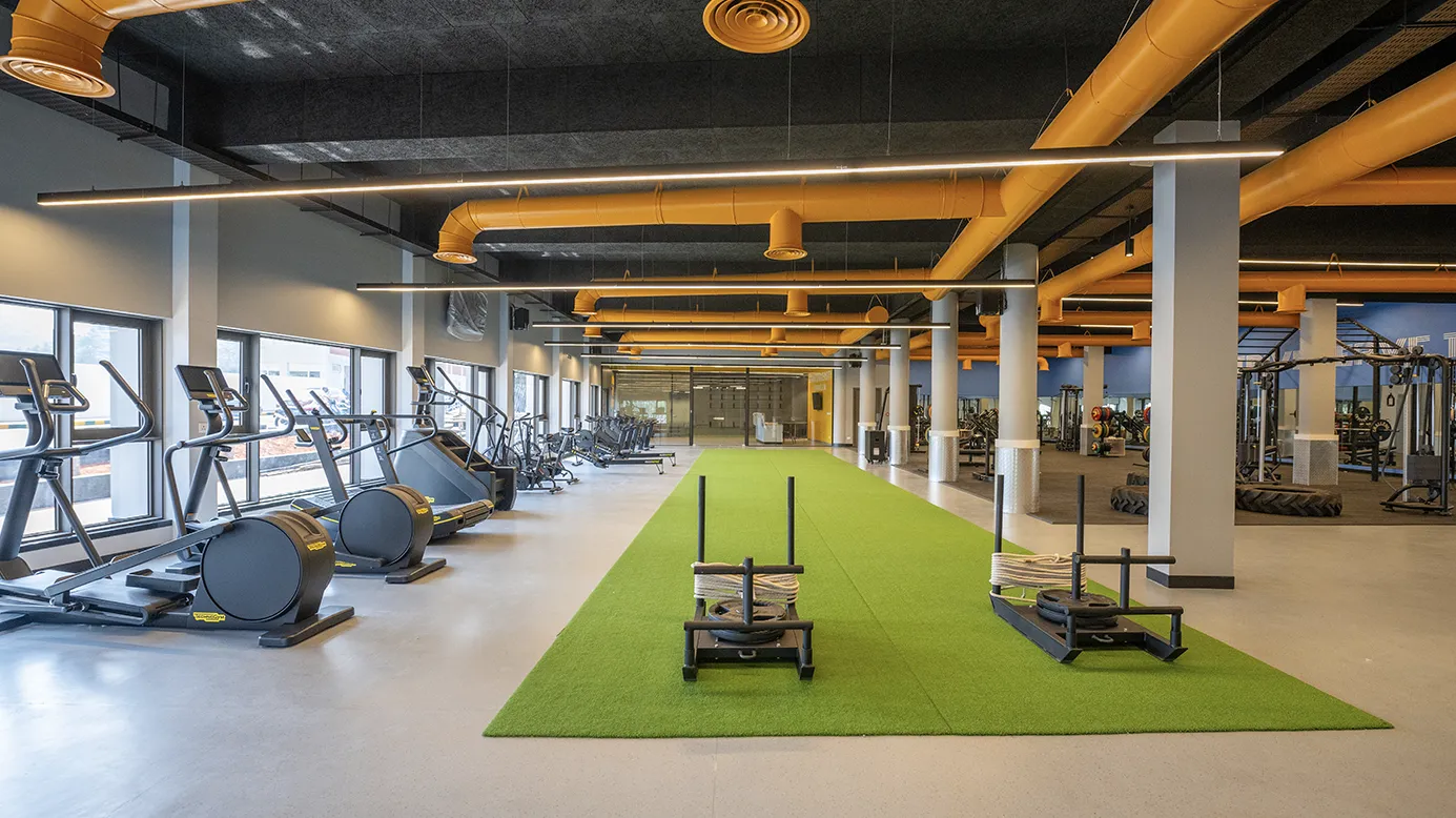 Health & Fitness Hub
